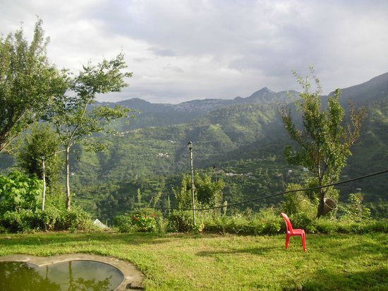 Forest Conservation