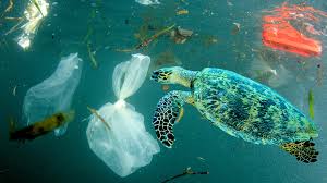 Ocean Research